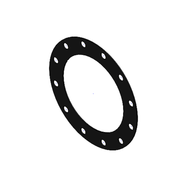 Gasket DN250 10 Inch