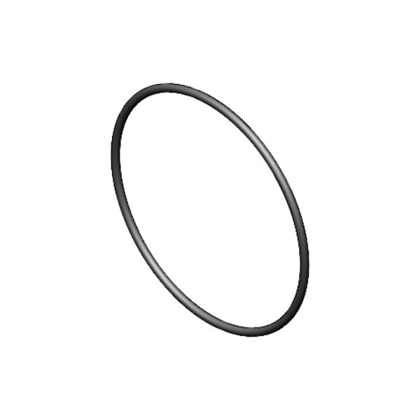 O-RING 124 mm x 4 mm