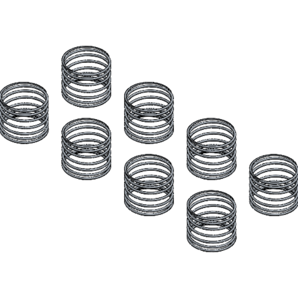 VALVE SPRING SET