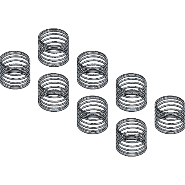 VALVE SPRING SET