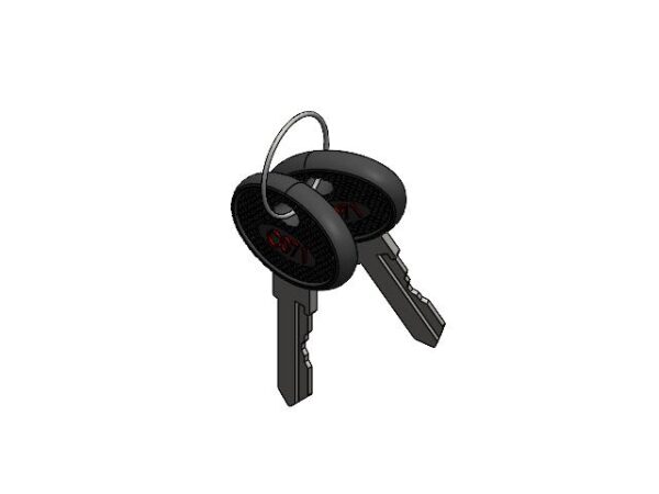 Key Set C071 (2x)